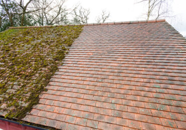 moss cleaning roof, roof cleaning Vancouver, roof demossing, roof moss killer, roofing repair, commercial roofing service, moss removal companies, residential roofing service, roof moss removal cost, roof moss removal service, roof moss removal Vancouver, roof moss treatment,