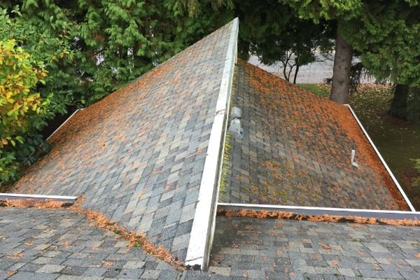 ROOF CLEANING COQUITLAM